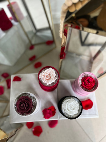 Single Forever Rose