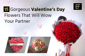 15 Best Flowers For Valentine’s Day That Will Wow Your Partner Eloquent flora