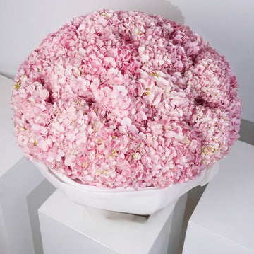 Fresh hydrangea flower arrangement handcrafted by Eloquent Flora
