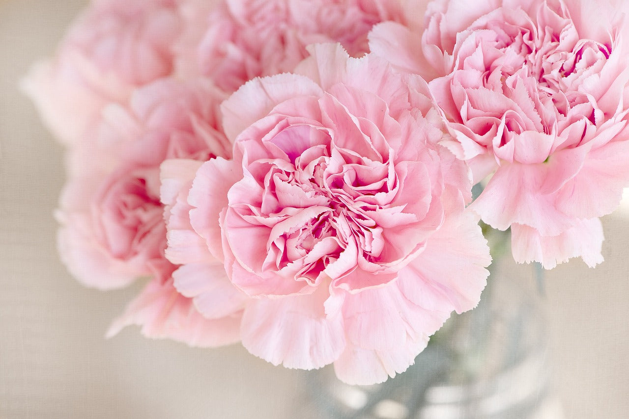Which Flowers Last the Longest?